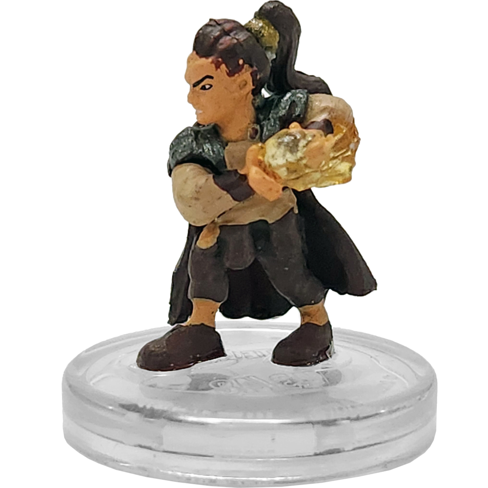 Seas & Shores #43 Pirate Wizard (R)