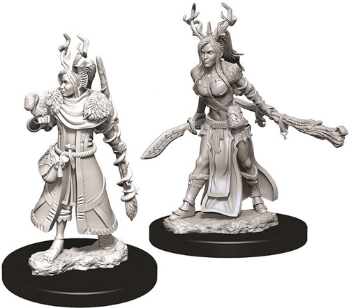 D&D Nolzur's Marvelous Unpainted Minis: W9 Female Human Druid