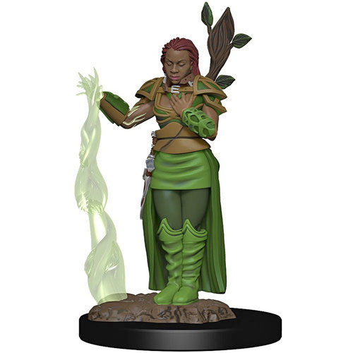 D&D Premium Painted Figure: W2 Female Human Druid