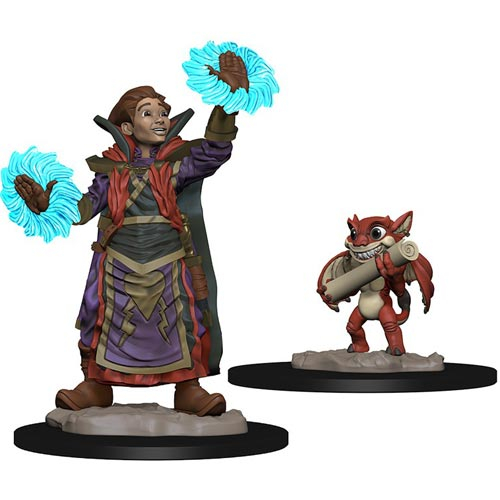 Wardlings: Boy Wizard & Imp