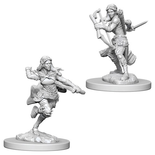 D&D Nolzur's Marvelous Unpainted Minis: W4 Female Air Genasi Rogue