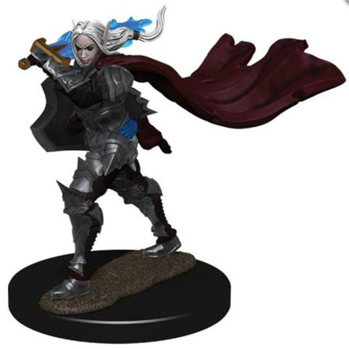 Pathfinder Battles Premium Painted Figure: W2 Female Elf Champion