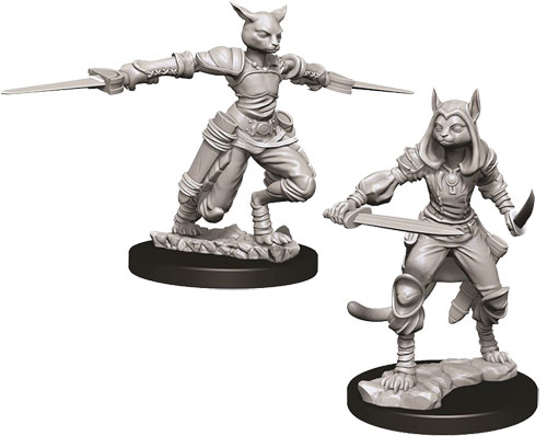 D&D Nolzur's Marvelous Unpainted Minis: W9 Female Tabaxi Rogue