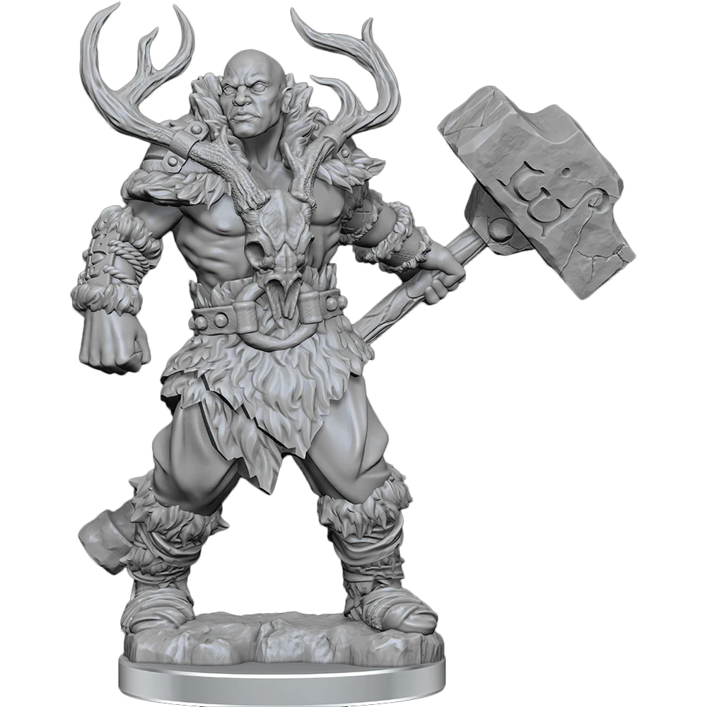 D&D Frameworks: W2 Male Goliath Barbarian