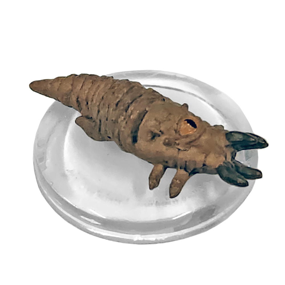 Underdark Expeditions #08 Piercer (C)