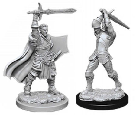 D&D Nolzur's Marvelous Unpainted Minis: W12 Male Human Paladin