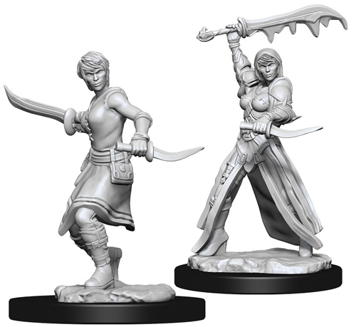 D&D Nolzur's Marvelous Unpainted Minis: W10 Female Human Rogue