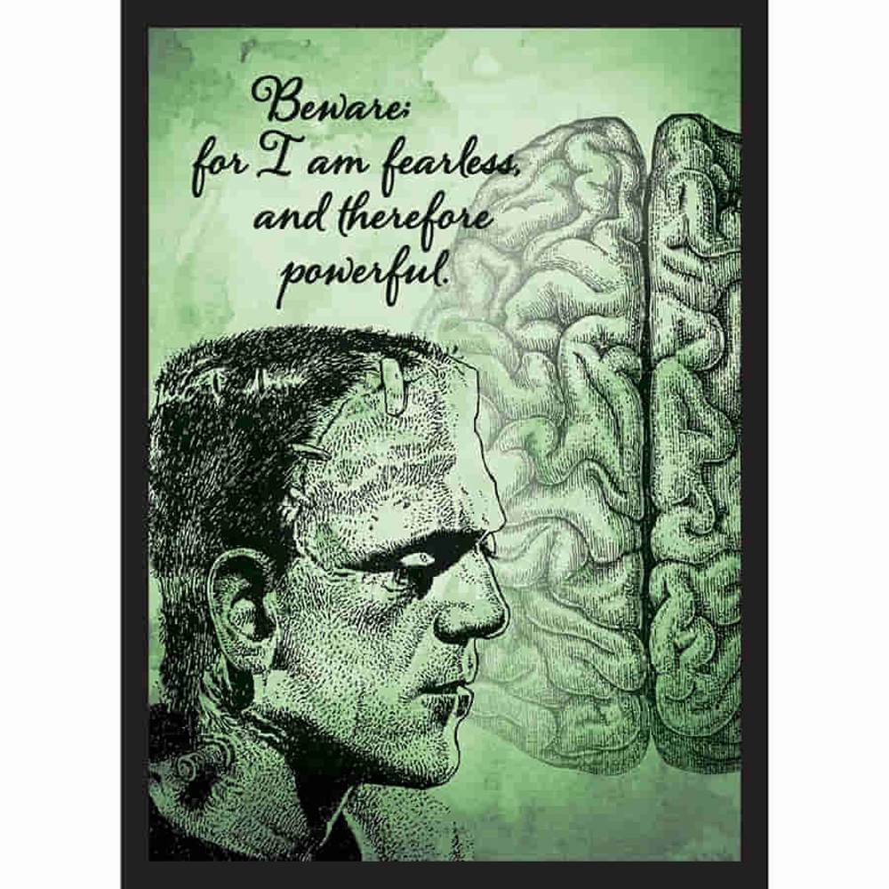 Legion Black Core Sleeves: Frank (50)