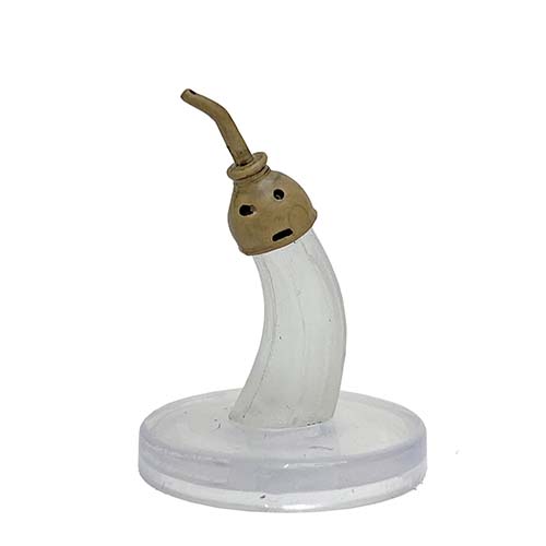 Wild Beyond the Witchlight #19 Squirt (U)