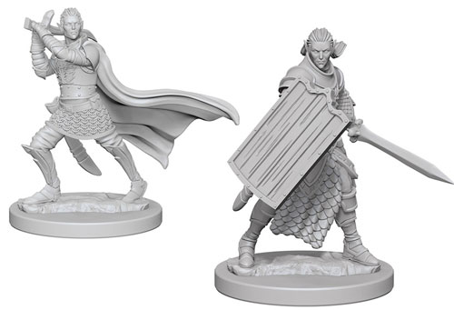 Pathfinder Battles Deep Cuts Unpainted Minis: W2 Male Elf Paladin