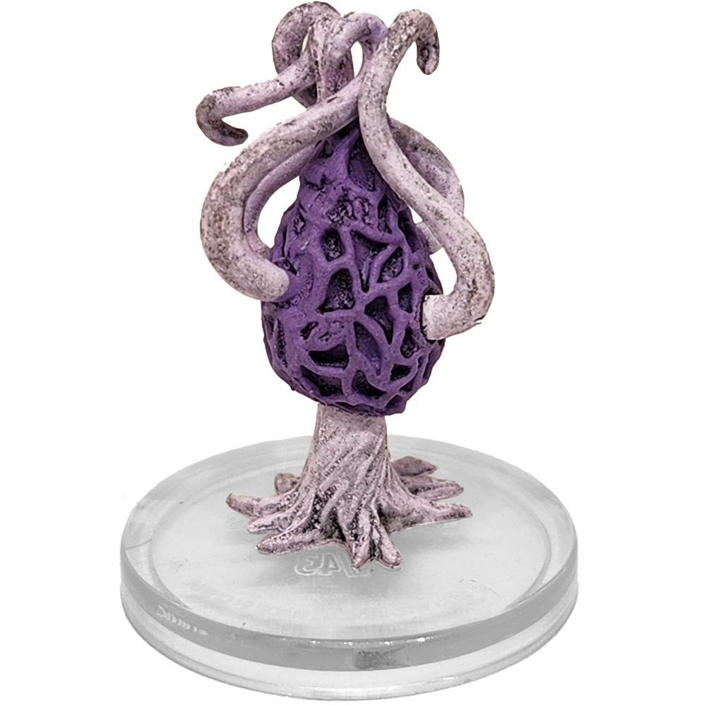 Sand & Stone #01 Violet Fungus (C)