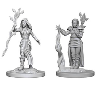 D&D Nolzur's Marvelous Unpainted Minis: W2 Female Human Druid