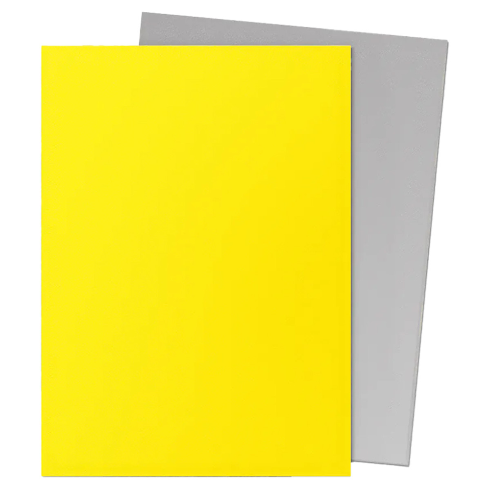 Dragon Shield Sleeves: Matte Dual - Yellow & Silver (100) (New Arrival)