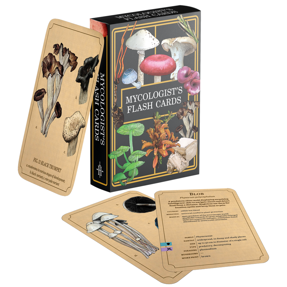 Mycologist's Primer: Flash Cards (Preorder)
