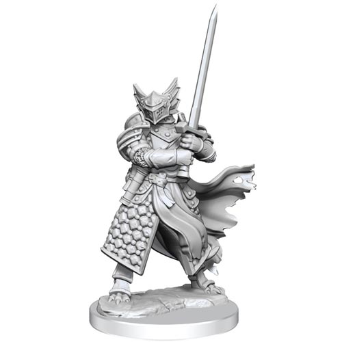 D&D Frameworks: W1 Male Dragonborn Paladin