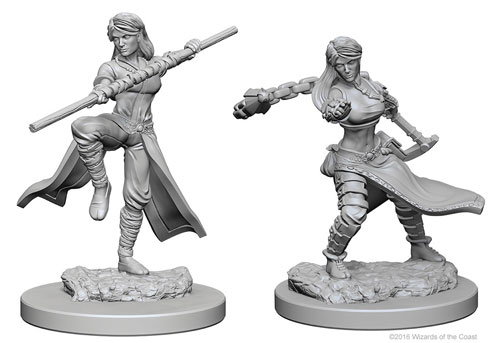 D&D Nolzur's Marvelous Unpainted Minis: W1 Female Human Monk