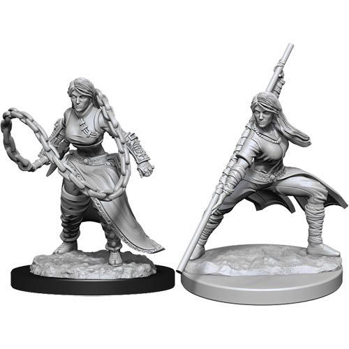 D&D Nolzur's Marvelous Unpainted Minis: W14 Female Human Monk
