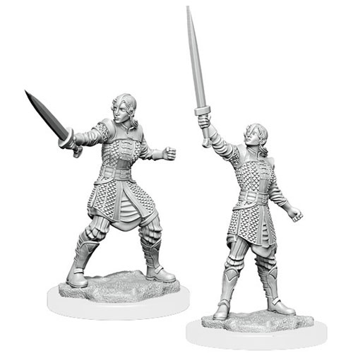 Critical Role Unpainted Minis: W1 Human Dwendalian Empire Fighter