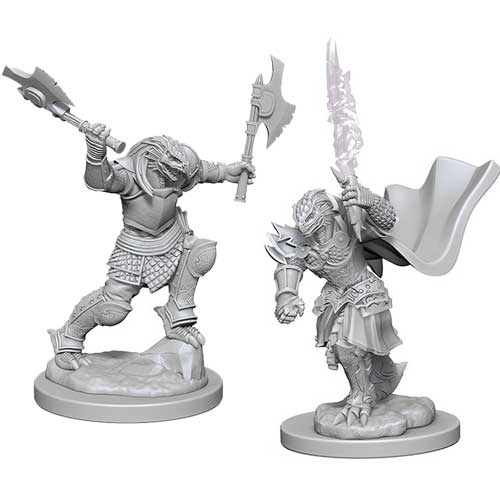 D&D Nolzur's Marvelous Unpainted Minis: W4 Female Dragonborn Fighter