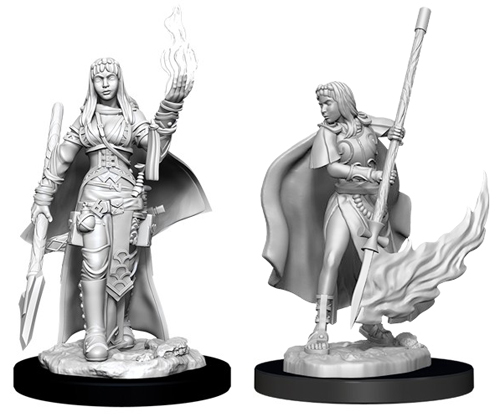 Pathfinder Battles Deep Cuts Unpainted Minis: W11 Female Human Oracle