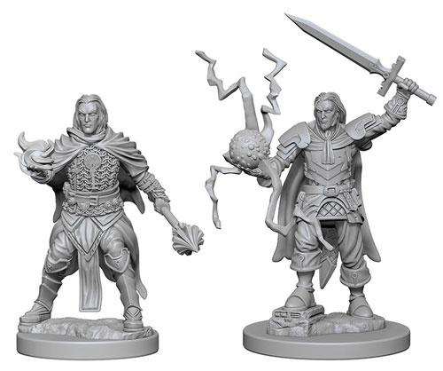 Pathfinder Battles Deep Cuts Unpainted Minis: W1 Human Male Cleric