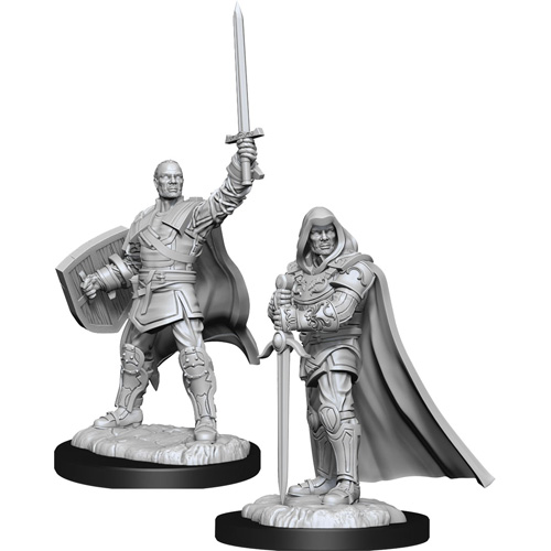 D&D Nolzur's Marvelous Unpainted Minis: W13 Male Human Paladin