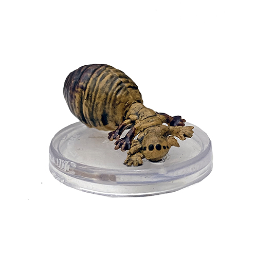 Fizban's Treasury of Dragons #01 Egg Hunter Adult (C)