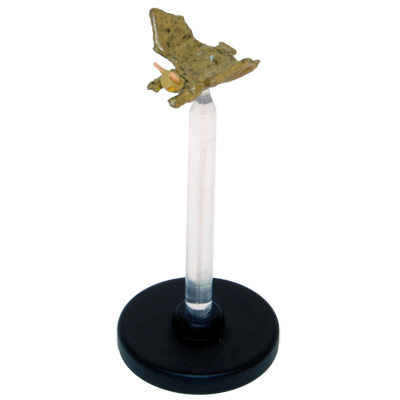 Storm King's Thunder #05 Homunculus (C)