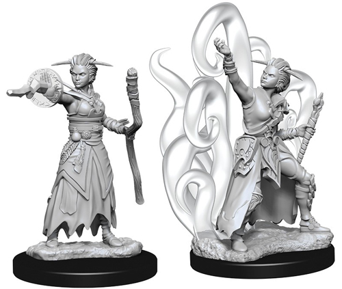 D&D Nolzur's Marvelous Unpainted Minis: W10 Female Human Warlock