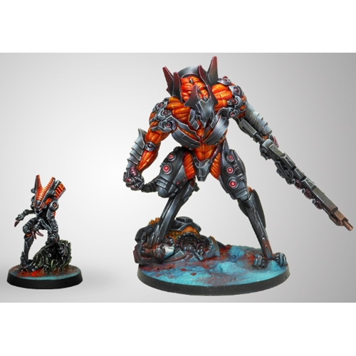 Infinity: Combined Army - Avatar