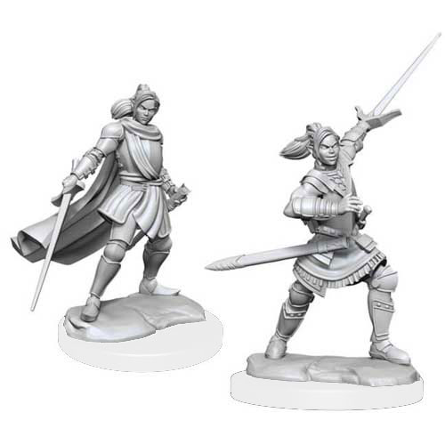 Critical Role Unpainted Minis: W1 Half-Elf Xhorhas Paladin
