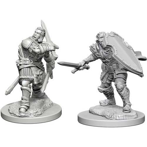 D&D Nolzur's Marvelous Unpainted Minis: W3 Male Human Paladin