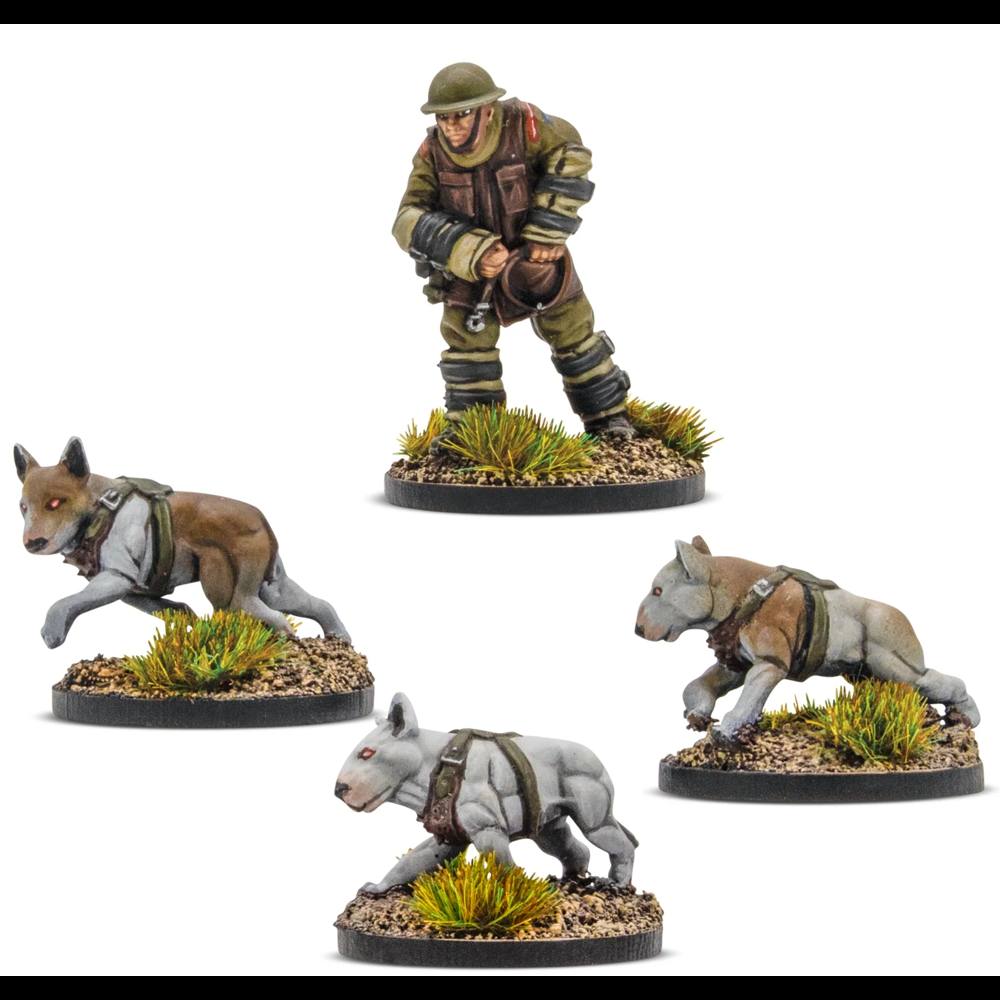 Konflikt '47: British Commonwealth - Cerberus Squad