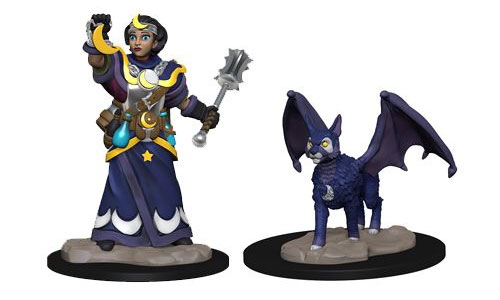 Wardlings: Girl Cleric & Winged Cat