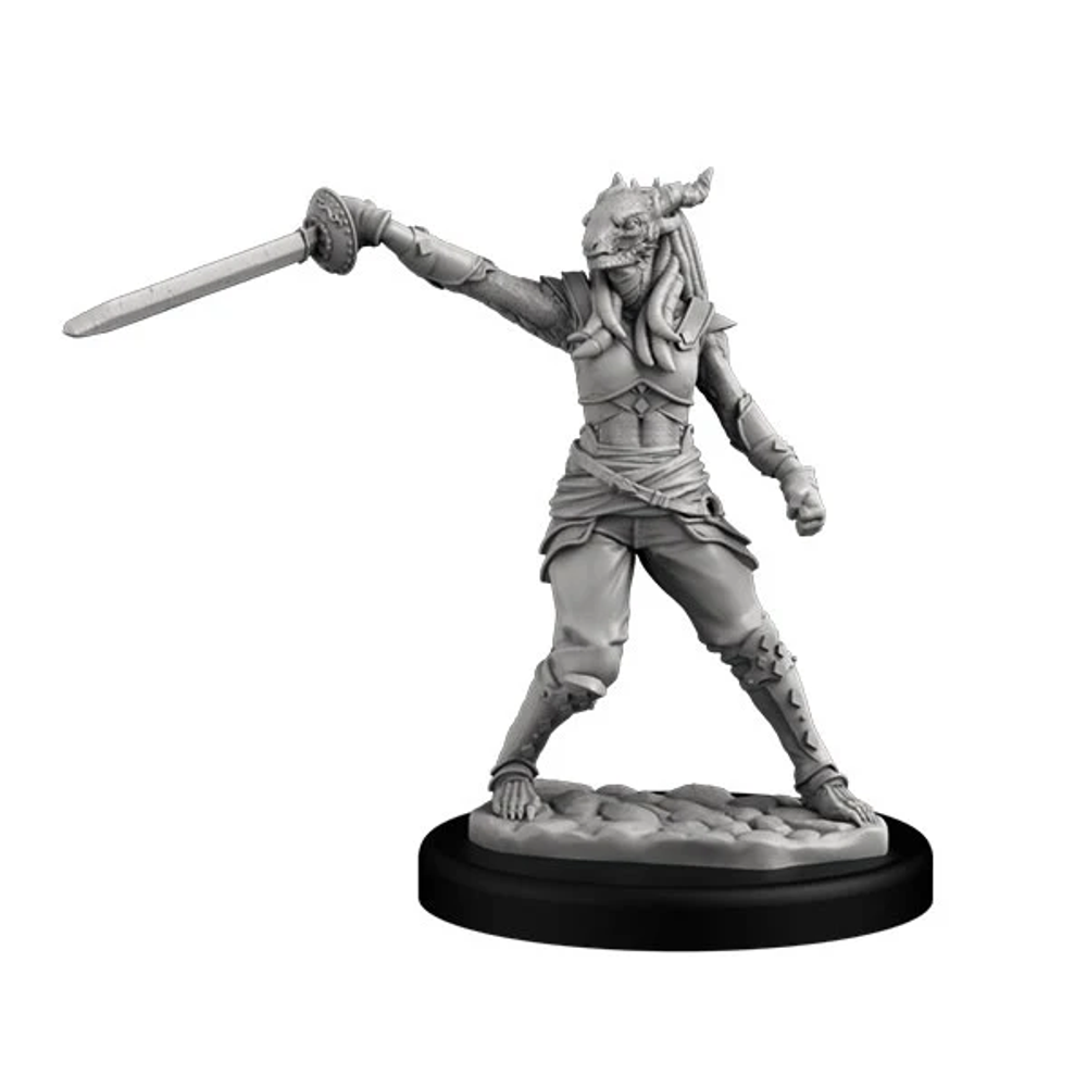 Next Level Miniatures: Dragonborn Swashbuckler (Female) (Preorder)
