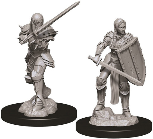 D&D Nolzur's Marvelous Unpainted Minis: W9 Female Human Fighter