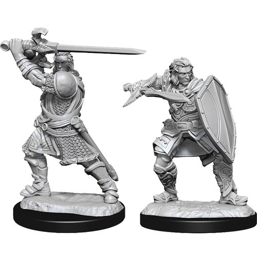 D&D Nolzur's Marvelous Unpainted Minis: W14 Male Human Paladin