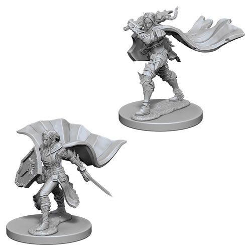 Pathfinder Battles Deep Cuts Unpainted Minis: W4 Female Elf Paladin
