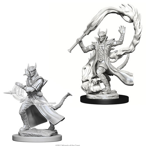 D&D Nolzur's Marvelous Unpainted Minis: W4 Male Tiefling Sorcerer